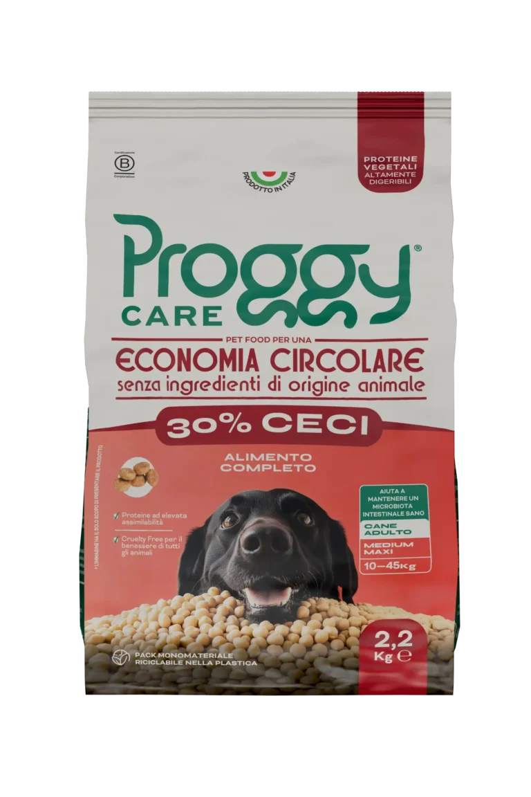 PROGGY care ceci maxi