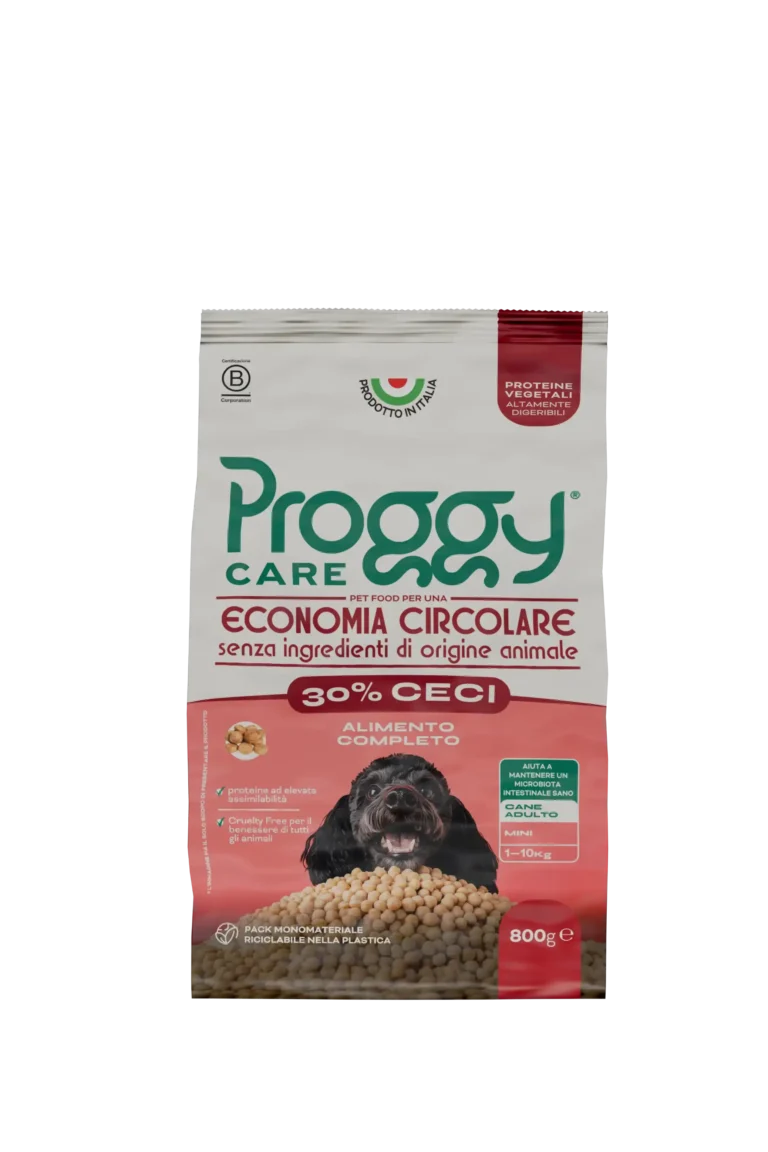PROGGY care ceci mini