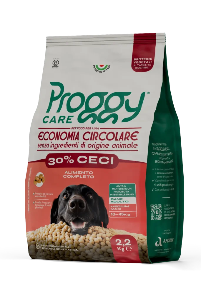 PROGGY care ceci maxi