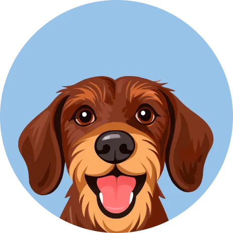 Illustrazione cane piselli e alga corella Per il benessere delle articolazioni