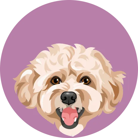 illustrazione per salute e bellezza di cute e pelo