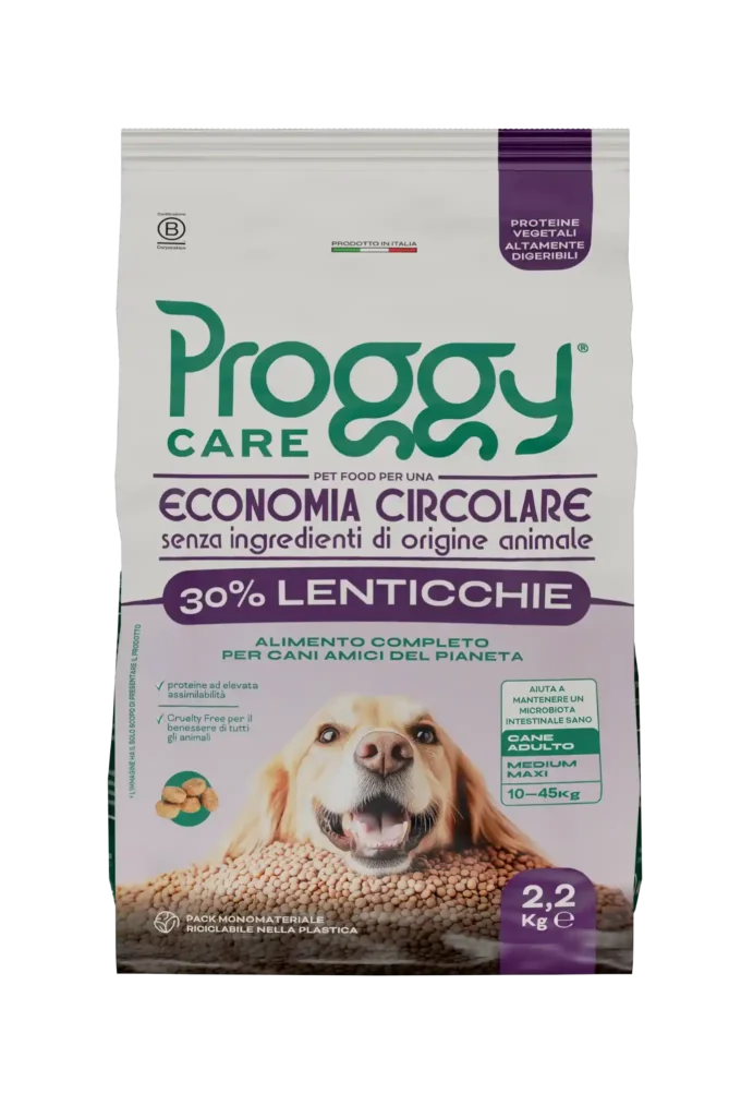 PROGGY lenticchie ceci maxi