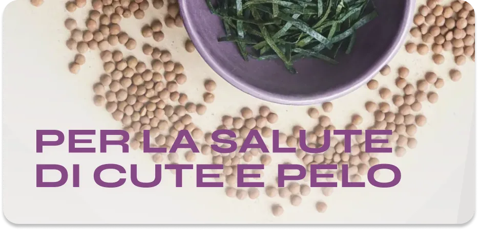 card-plus-lenticchie