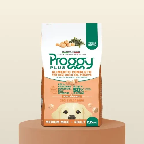 Proggy_ITL_&bull;mediummaxi&bull;cec&bull;_2-2_Stampa_f