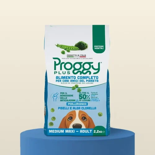 Proggy_ITL_&bull;mediummaxi&bull;pis&bull;_2-2_Stampa_f