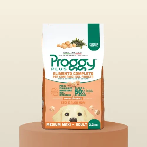 proggy-itl-mediummaxi-cec-2-2-stampa-f